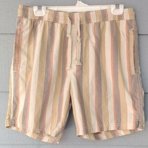 Free Planet Lightweight Striped Shorts
